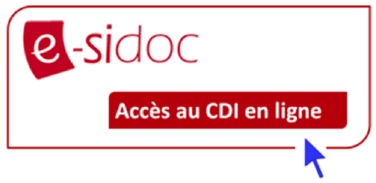 logo esidoc