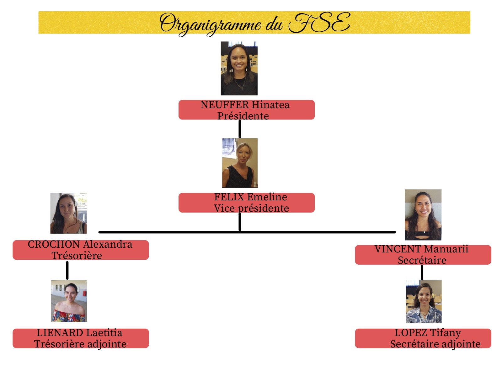 Organigramme du FSE