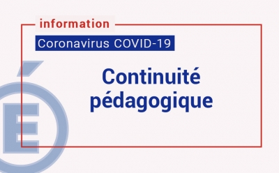 Organisation de la continuité pédagogique